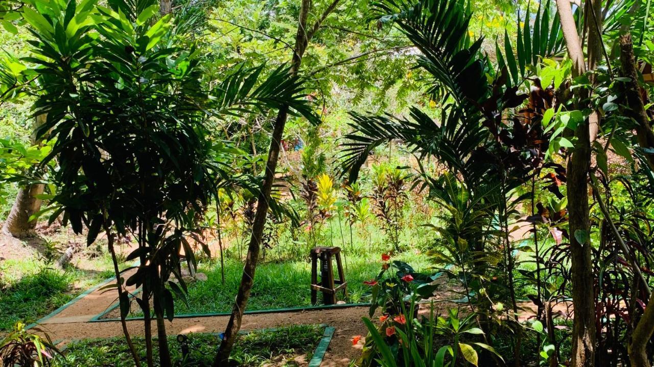 Sigiri Starwing Villa Sigiriya Exterior photo